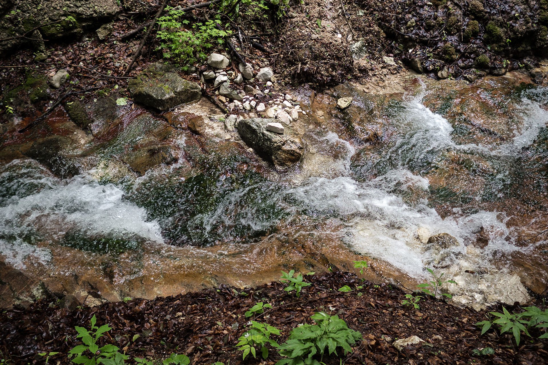 Wasser Marsch In Kaltern Out Of Office Ooo Yeah